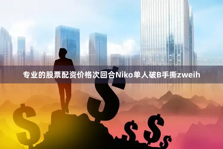 专业的股票配资价格次回合Niko单人破B手撕zweih